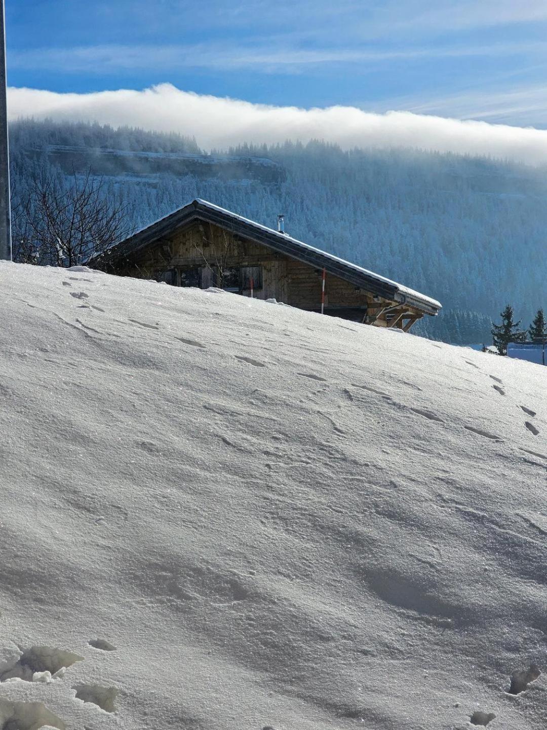 Magnifique Appartement A La Montagne Classe 4 Etoiles Chapelle des Bois Bagian luar foto